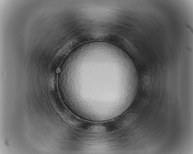 X0000102370644200808081153