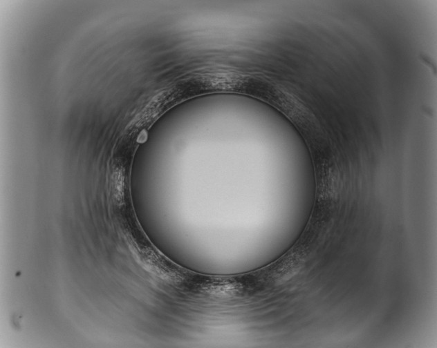 X0000102370646200808081153