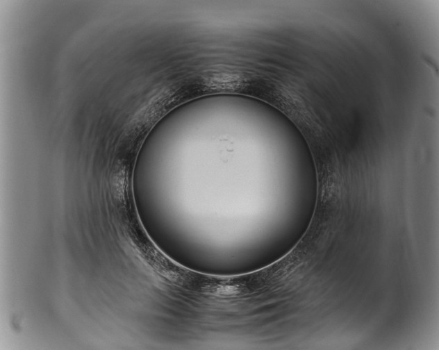 X0000102370647200808081153