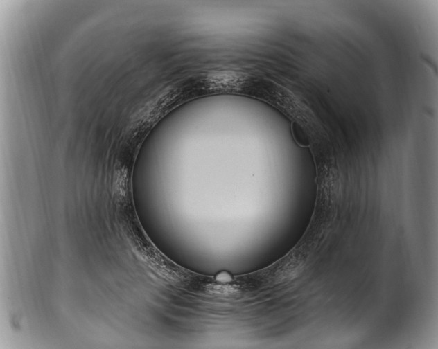 X0000102370649200808081153