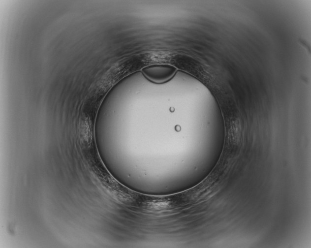 X0000102370651200808081154