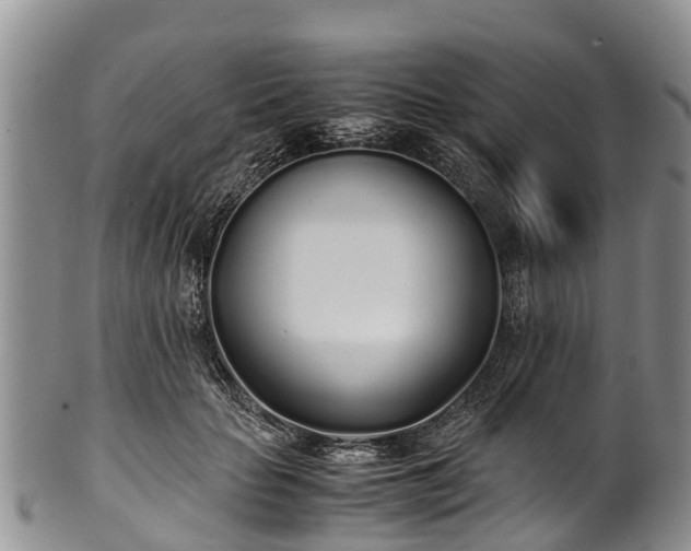 X0000102370653200808081154