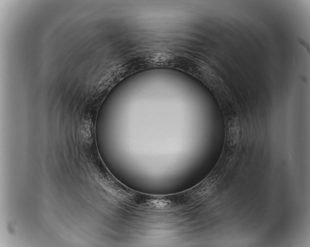 X0000102370654200808081154