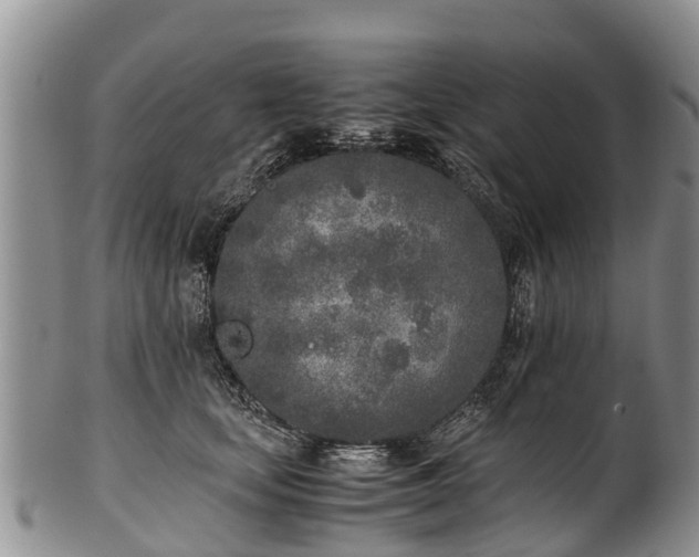 X0000102370659200808081154