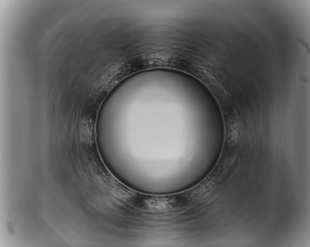 X0000102370661200808081154