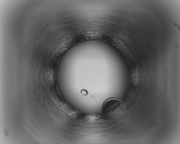 X0000102370662200808081154