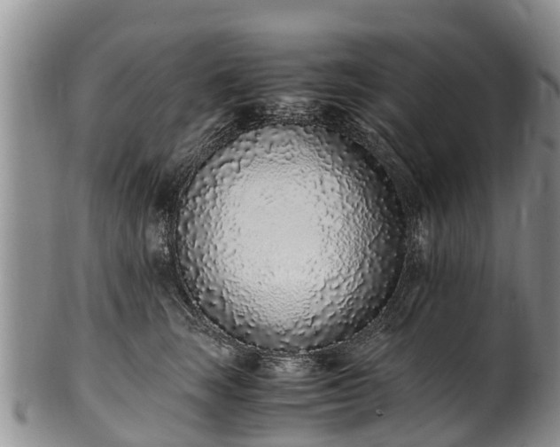 X0000102370663200808081154