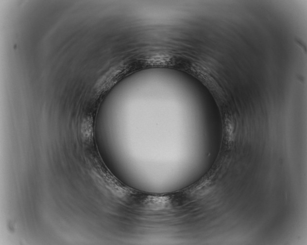 X0000102370665200808081154