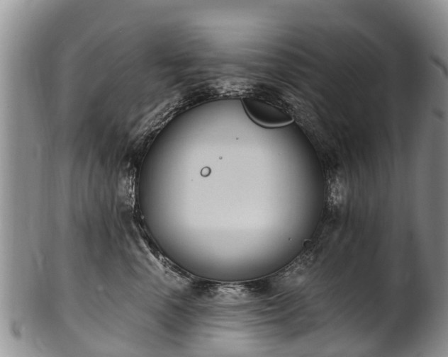 X0000102370666200808081154