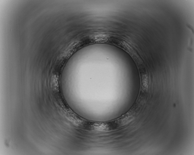 X0000102370667200808081154