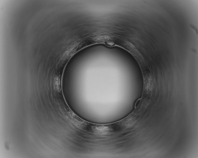 X0000102370669200808081154