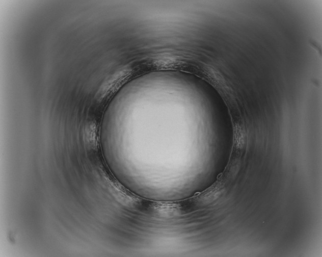 X0000102370670200808081154