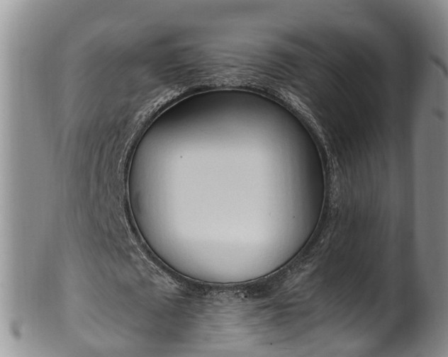 X0000102370673200808081153