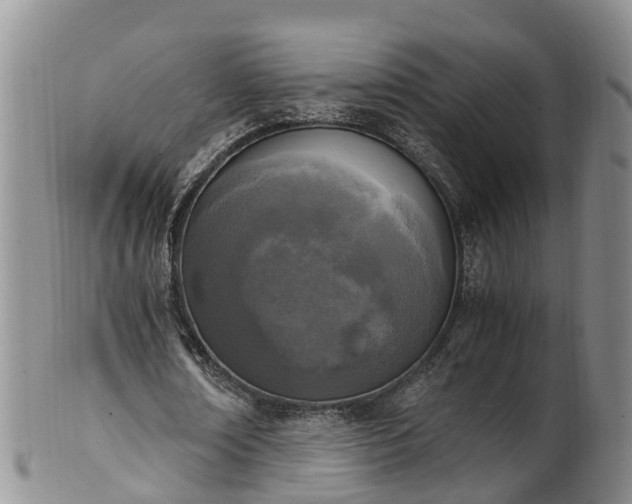 X0000102370674200808081153