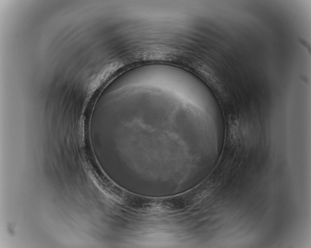 X0000102370678200808081153