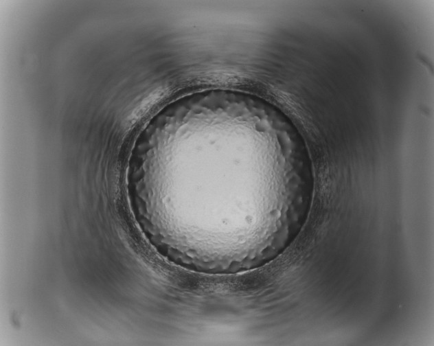 X0000102370679200808081153