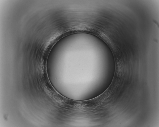 X0000102370680200808081153