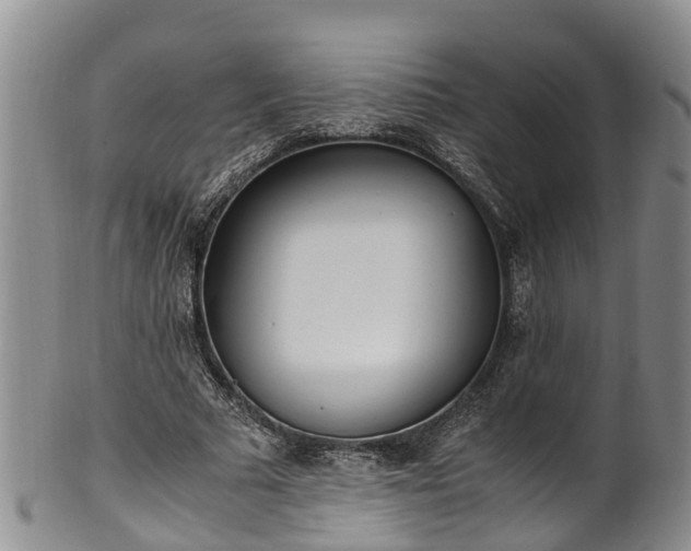 X0000102370681200808081153