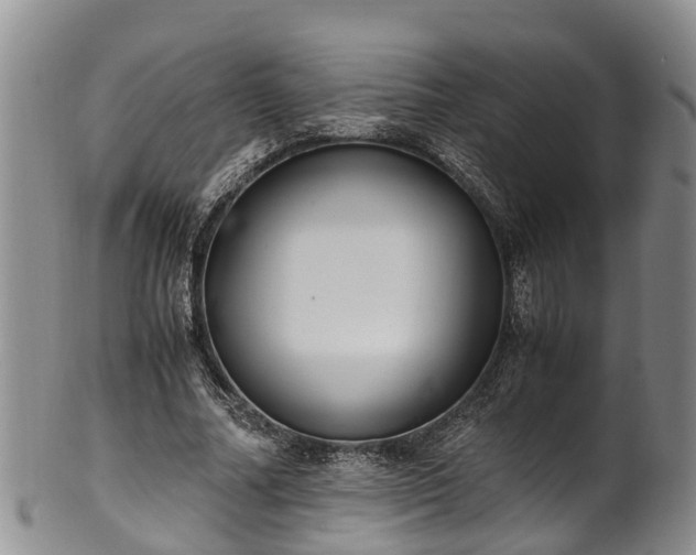 X0000102370682200808081153