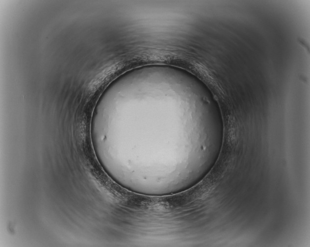 X0000102370683200808081153