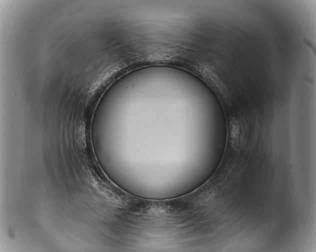 X0000102370684200808081153