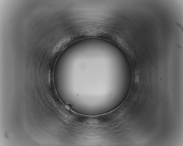 X0000102370685200808081153