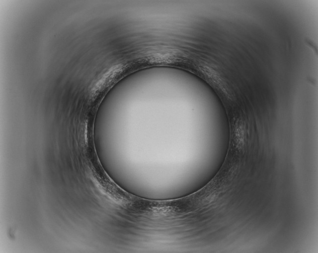 X0000102370686200808081153