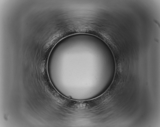 X0000102370687200808081153