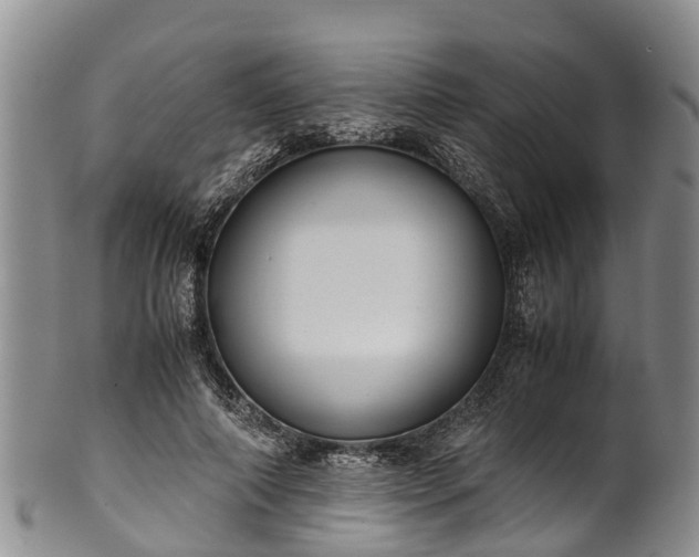 X0000102370690200808081153