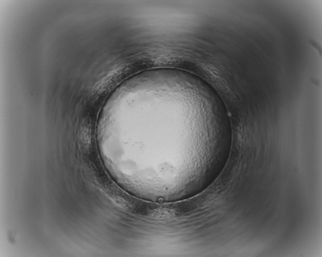 X0000102370691200808081153