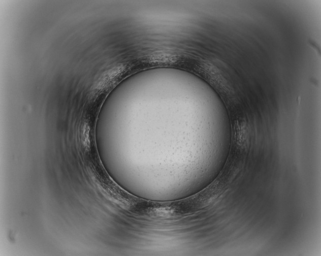 X0000102370692200808081153