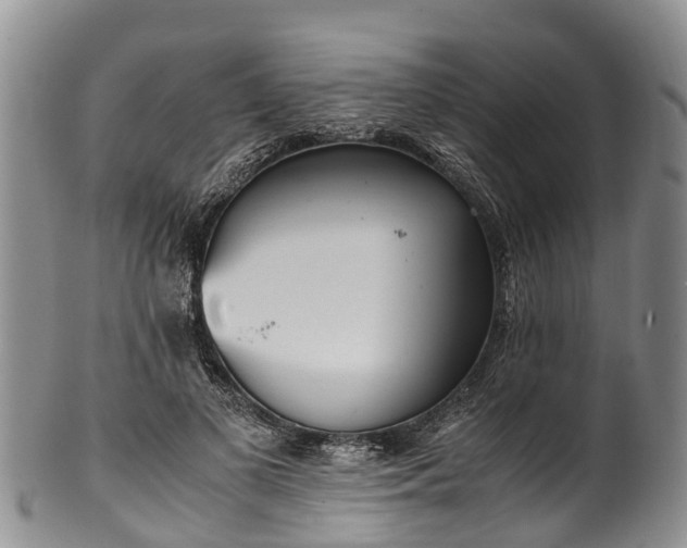 X0000102370693200808081153