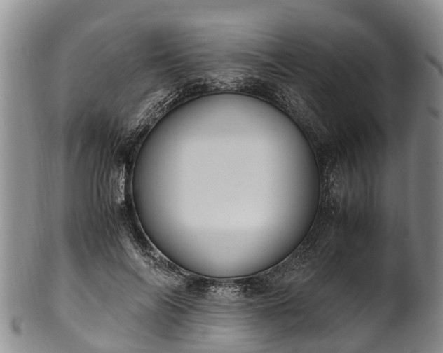 X0000102370694200808081153