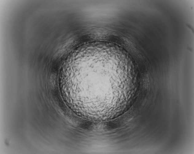 X0000102370695200808081153