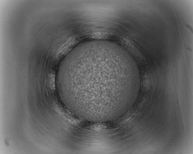 X0000102370696200808081153