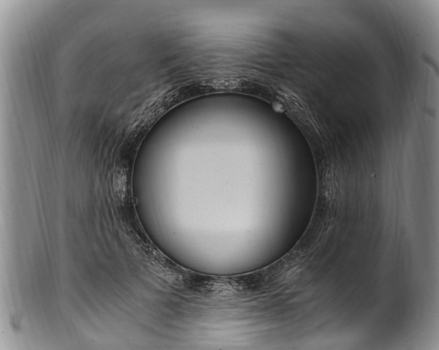 X0000102370697200808081153