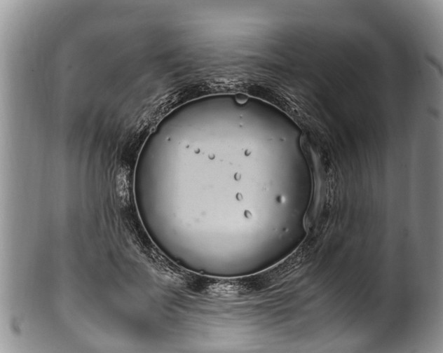 X0000102370699200808081153