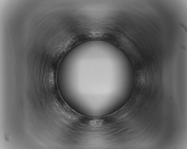 X0000102370700200808081153