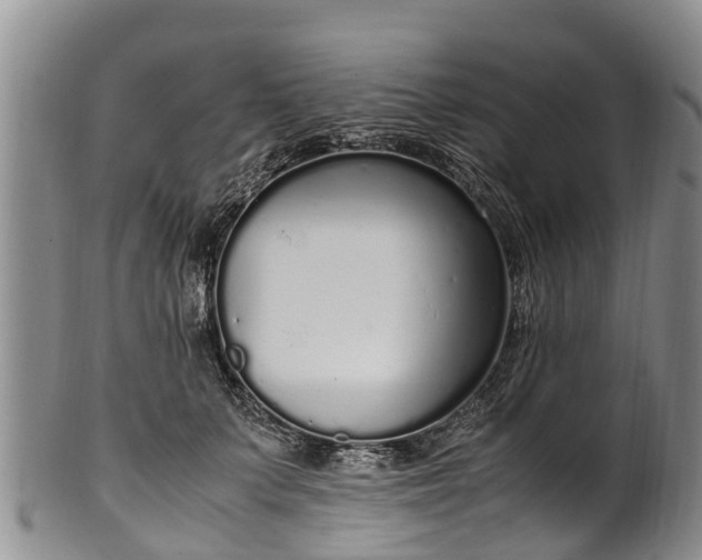 X0000102370703200808081153