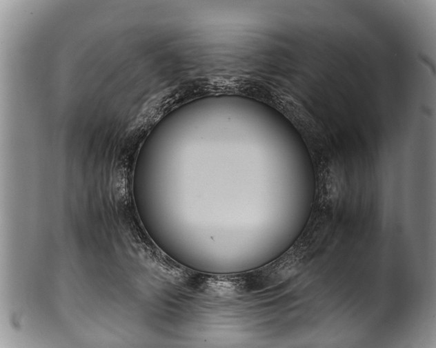 X0000102370706200808081153