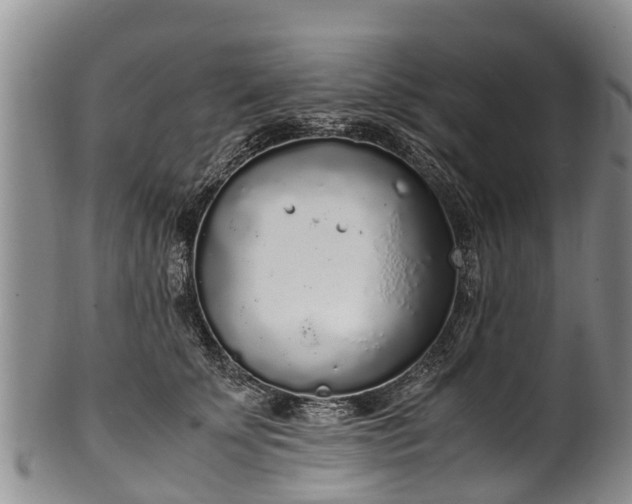 X0000102370707200808081152