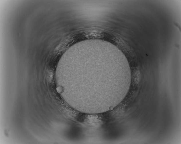 X0000102370709200808081152