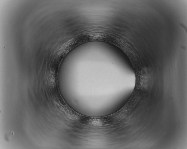 X0000102370710200808081152