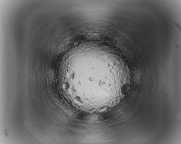 X0000102370711200808081152