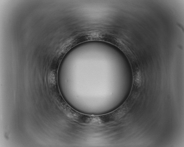 X0000102370715200808081152