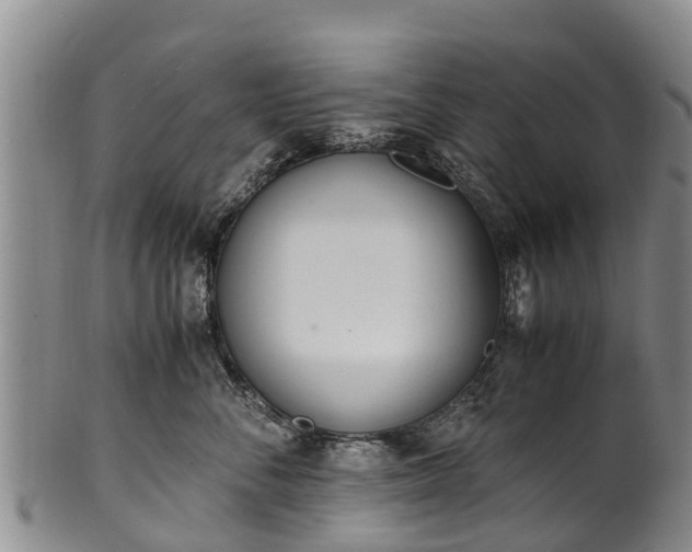 X0000102370716200808081152