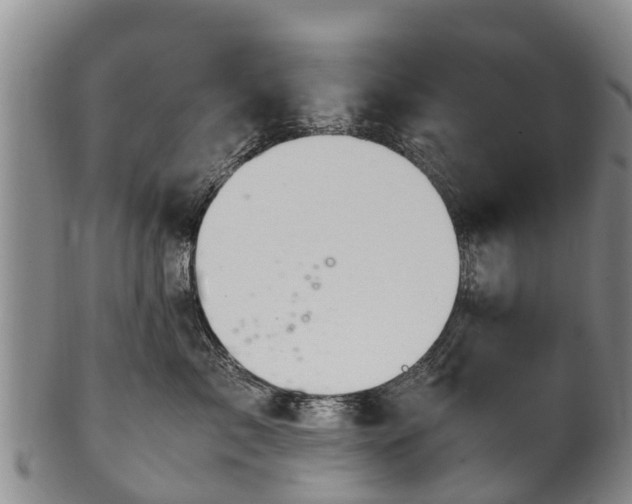 X0000102370717200808081152