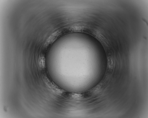 X0000102370718200808081152