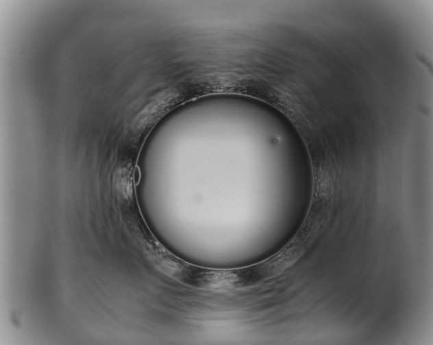 X0000102370719200808081152