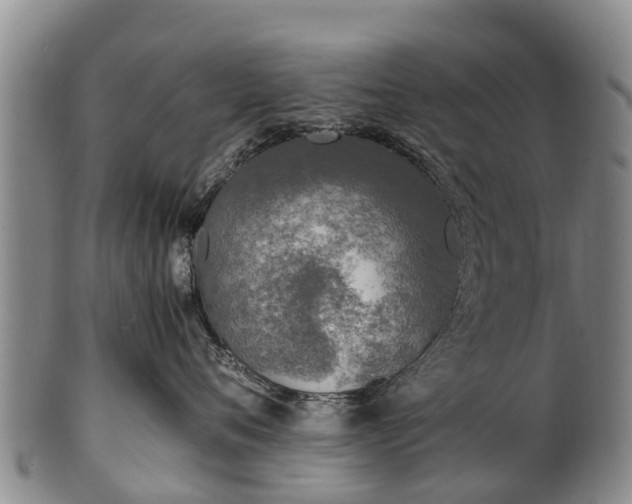 X0000102370720200808081152